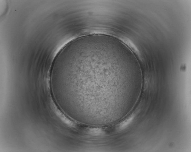 X0000092050798200709191120