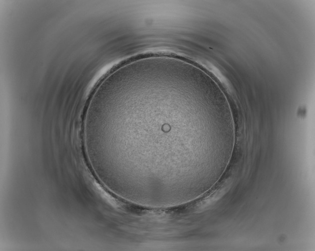 X0000092050799200709191120