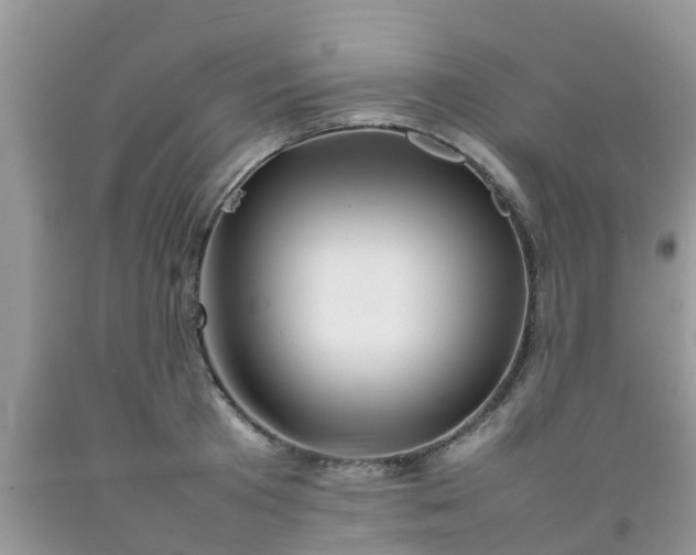 X0000092050801200709191120