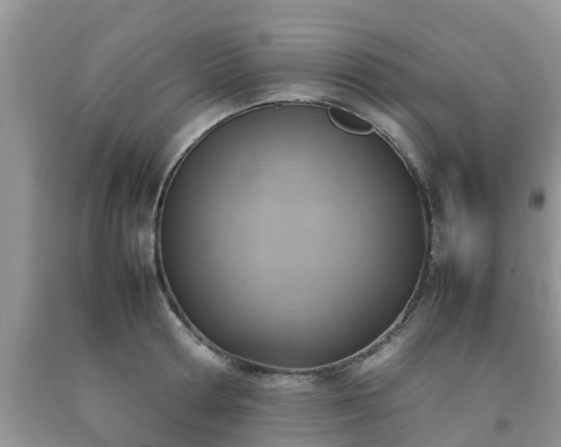 X0000092050802200709191120