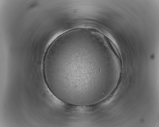 X0000092050803200709191119