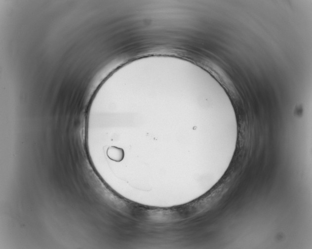 X0000092050804200709191119