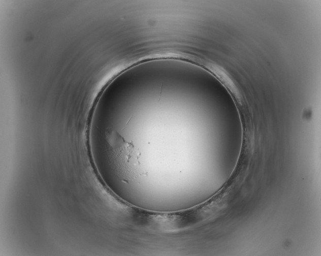 X0000092050805200709191119