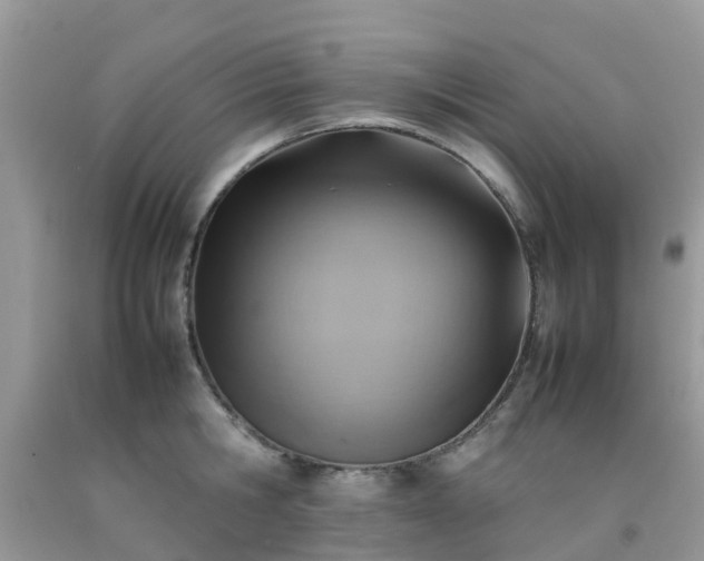 X0000092050806200709191119