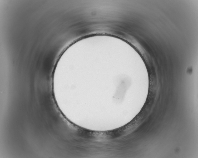 X0000092050807200709191119