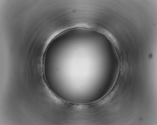 X0000092050808200709191119