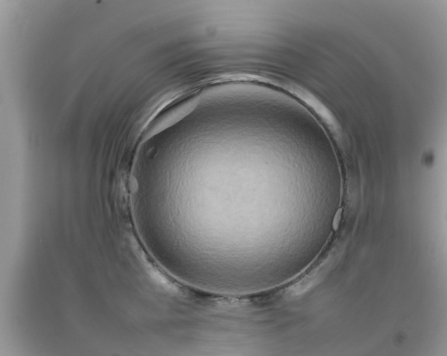 X0000092050809200709191119