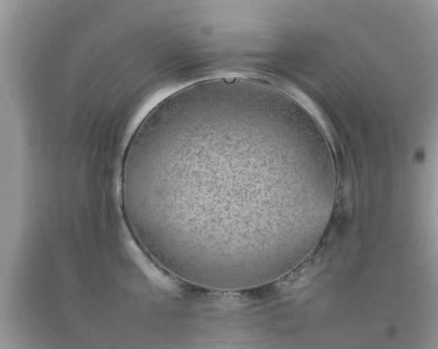 X0000092050811200709191119