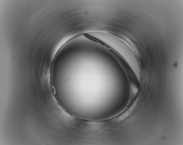 X0000092050812200709191119