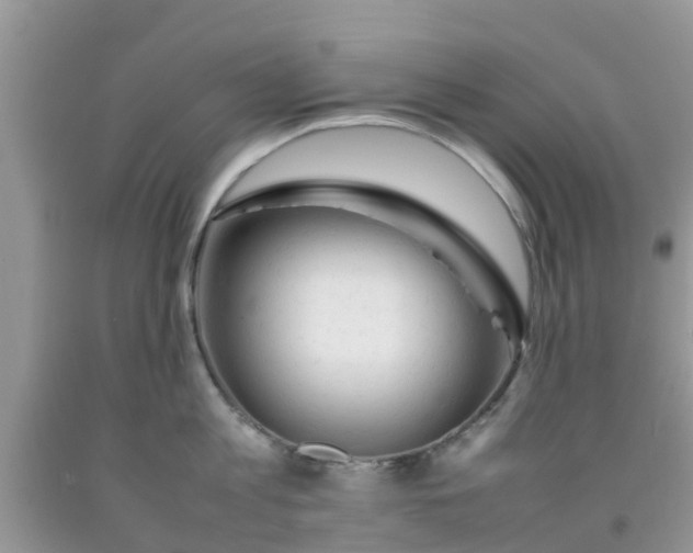 X0000092050813200709191119