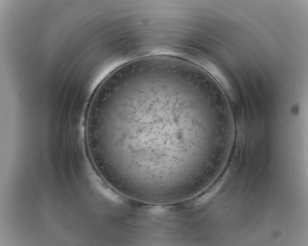 X0000092050814200709191119