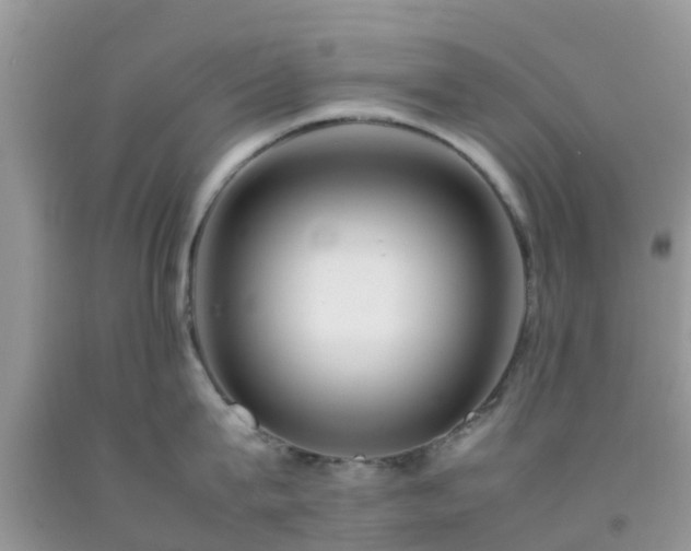 X0000092050815200709191119