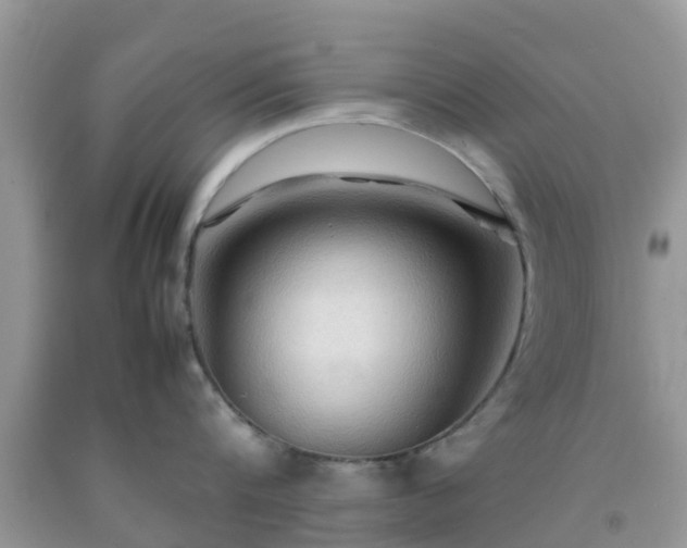 X0000092050816200709191119