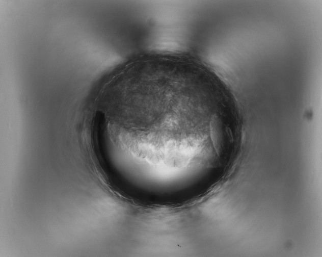 X0000092050817200709191119