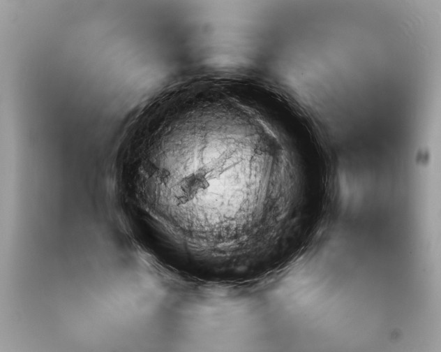 X0000092050818200709191119