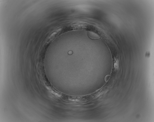 X0000092050819200709191119