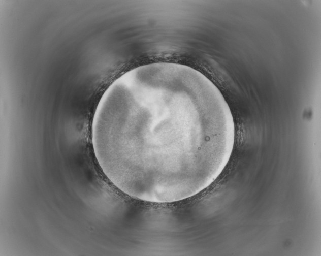 X0000092050820200709191119