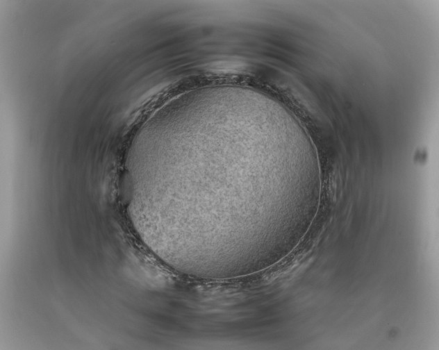 X0000092050821200709191119