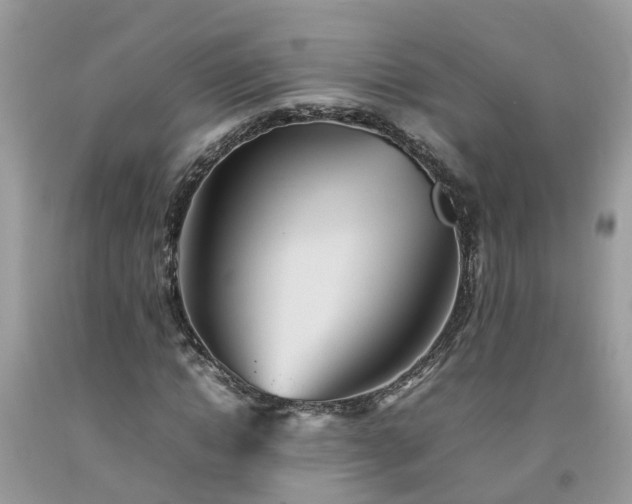 X0000092050822200709191119