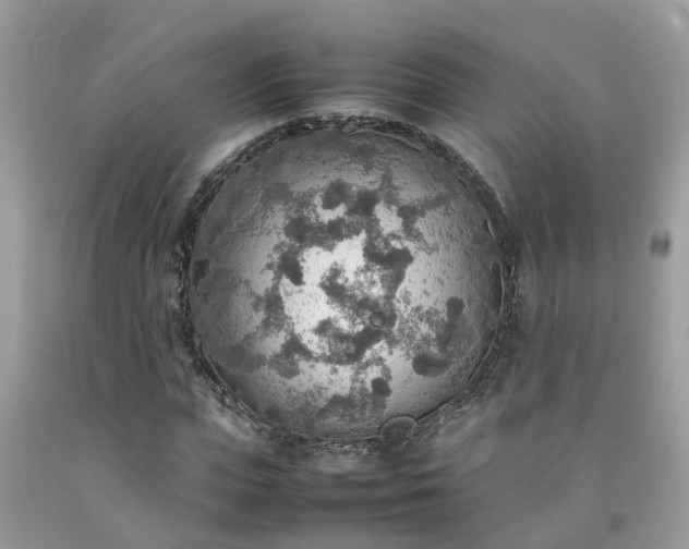 X0000092050823200709191119