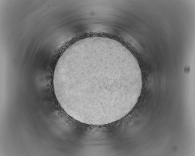 X0000092050824200709191119