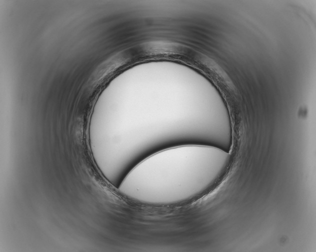 X0000092050825200709191119