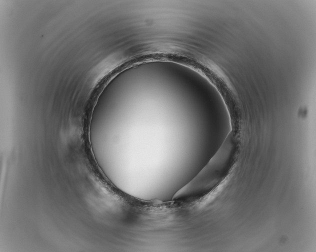 X0000092050826200709191119