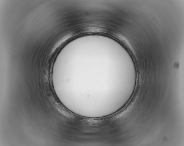 X0000092050827200709191119