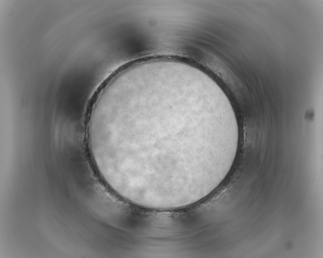 X0000092050828200709191119