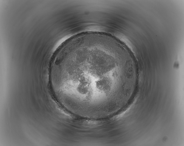 X0000092050829200709191119