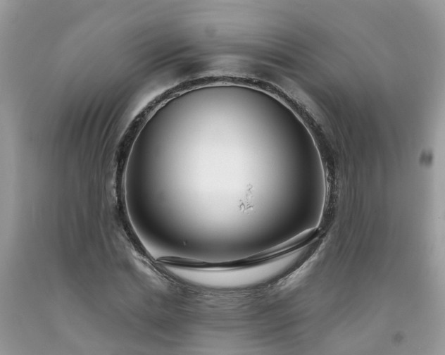 X0000092050830200709191119