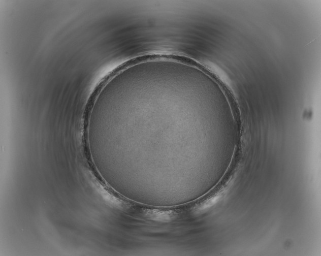 X0000092050831200709191119