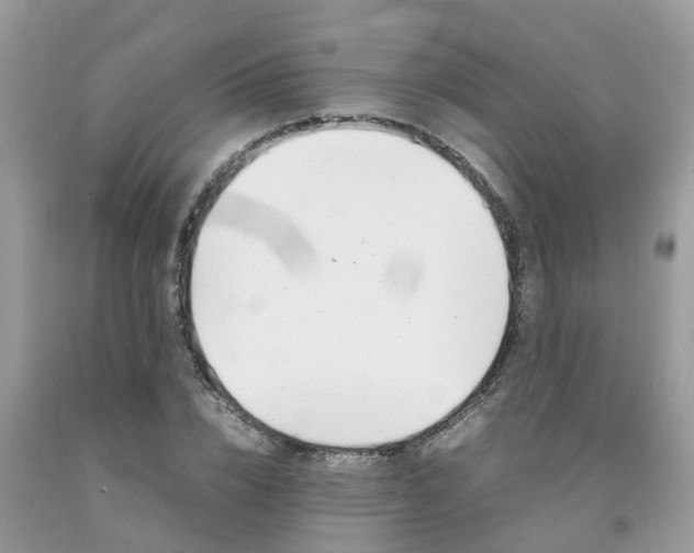 X0000092050832200709191119