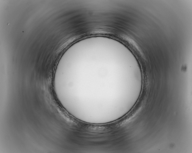 X0000092050833200709191119