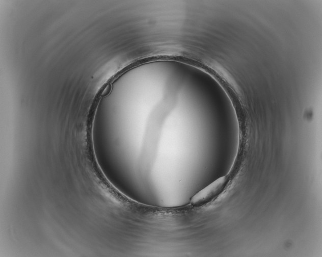 X0000092050834200709191119