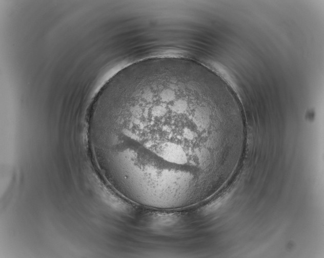 X0000092050835200709191119