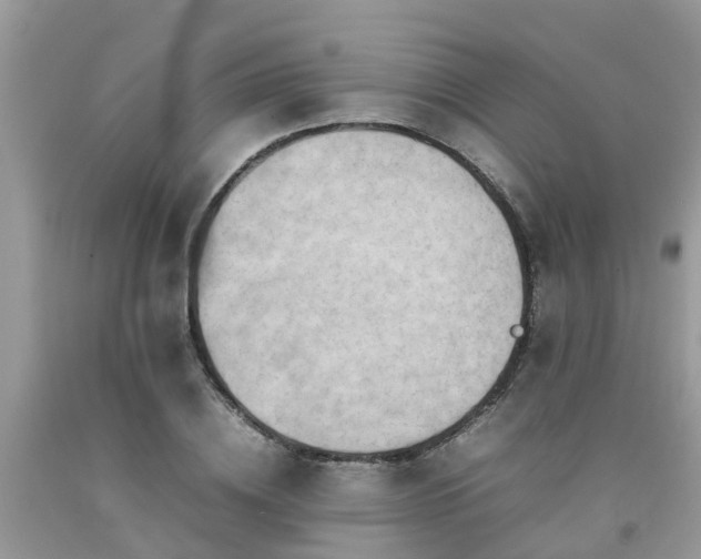 X0000092050836200709191119