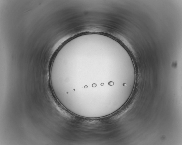 X0000092050837200709191119