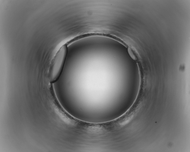 X0000092050838200709191119