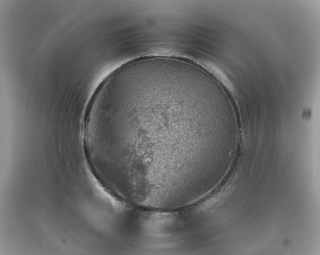 X0000092050839200709191119