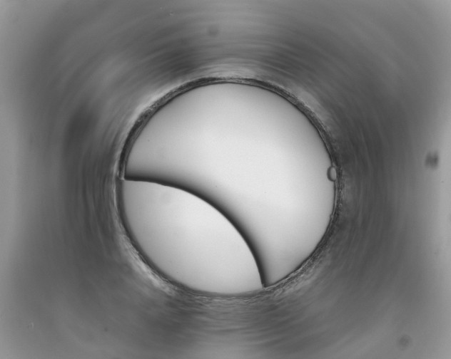 X0000092050840200709191119