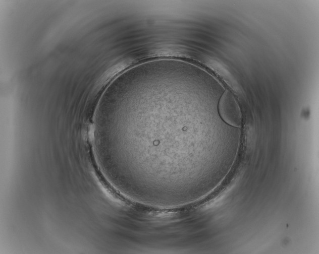 X0000092050841200709191119