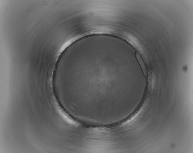 X0000092050842200709191119