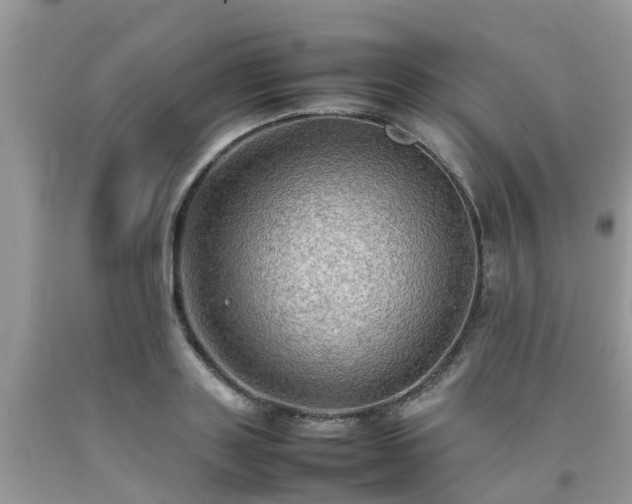 X0000092050843200709191119