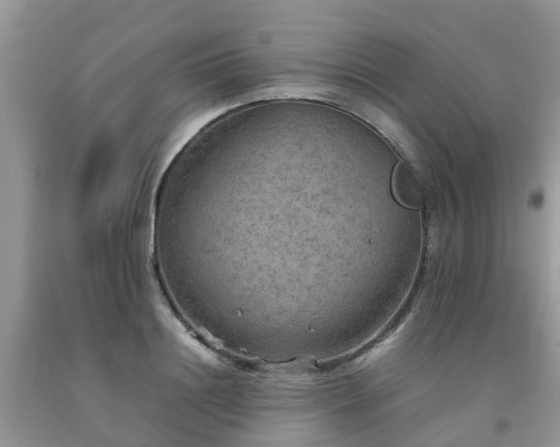 X0000092050844200709191119