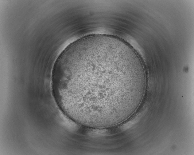 X0000092050845200709191119