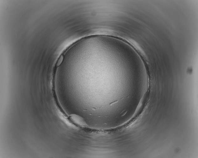 X0000092050846200709191119