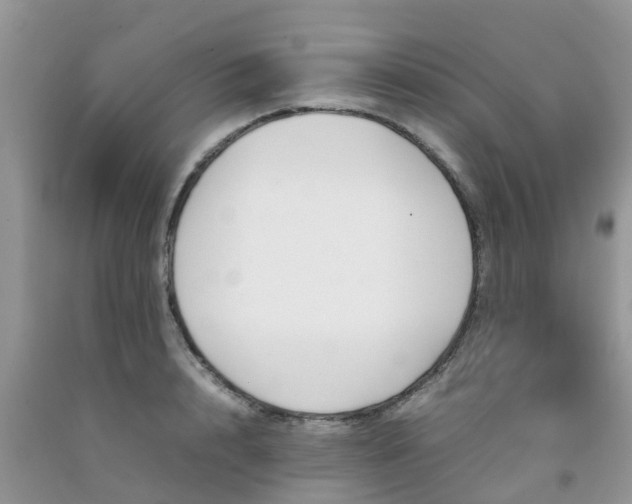 X0000092050848200709191119