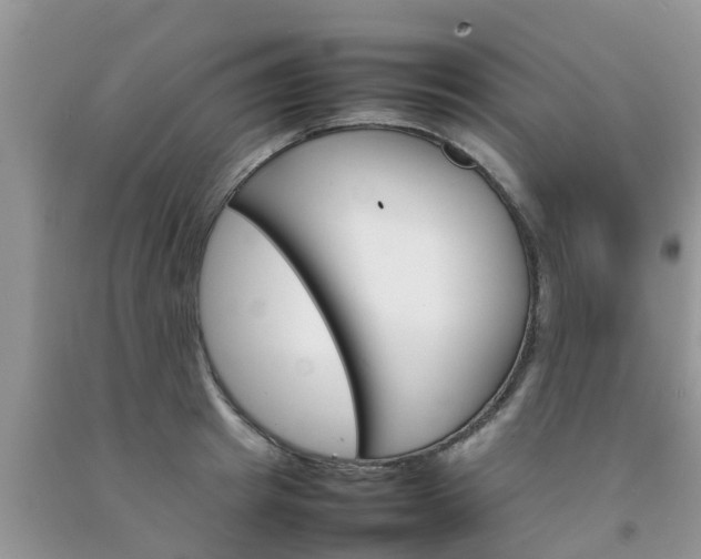 X0000092050849200709191119