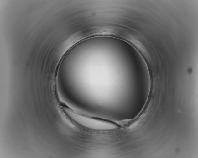 X0000092050850200709191119